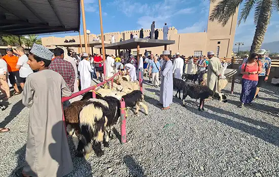 Must-see Attractions in Nizwa - Livestock Market